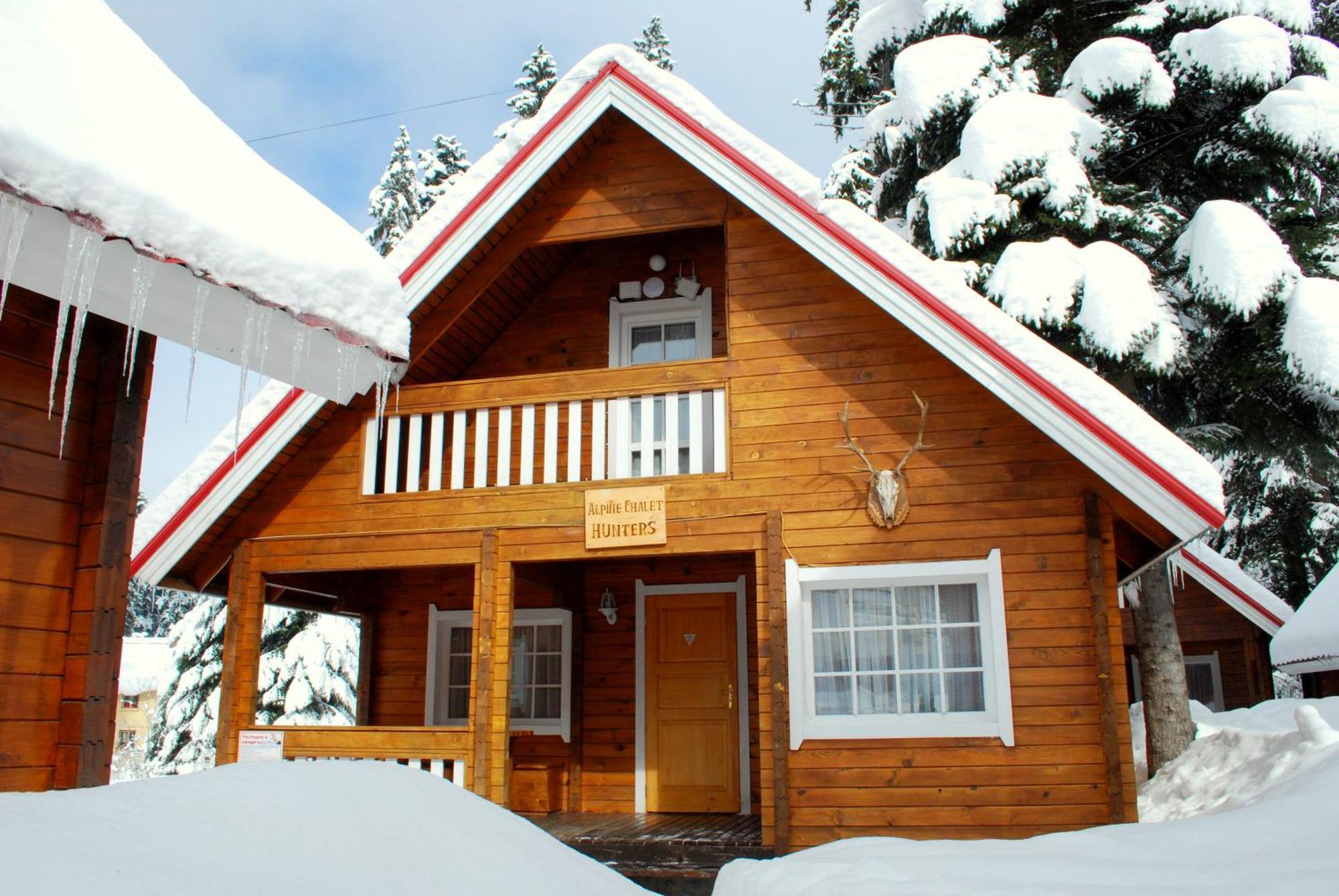 Вилла Alpine Ski Chalet Borovets With Sauna Экстерьер фото