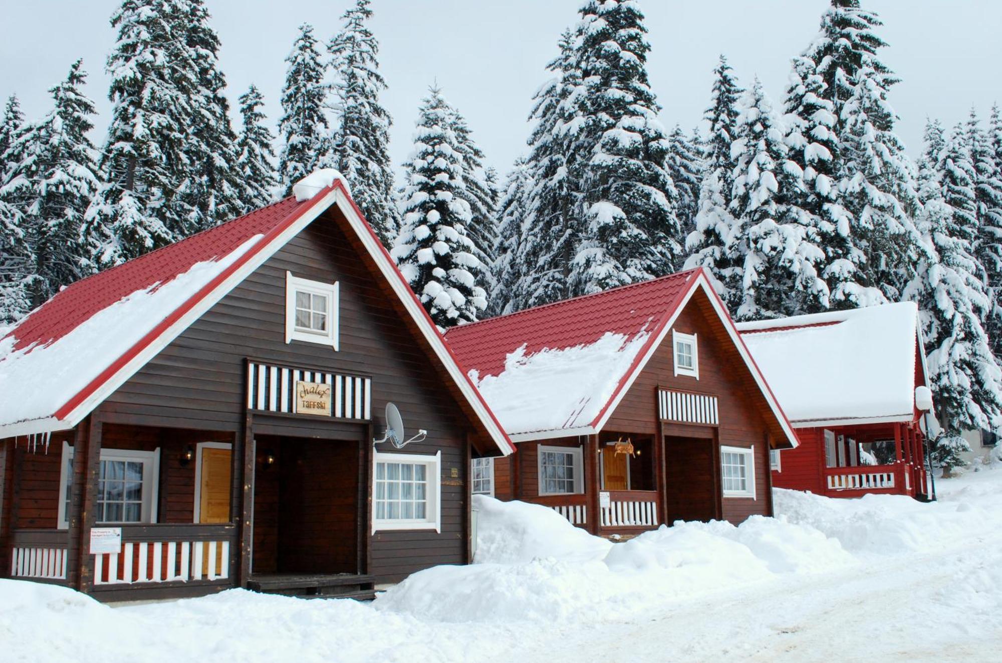 Вилла Alpine Ski Chalet Borovets With Sauna Экстерьер фото